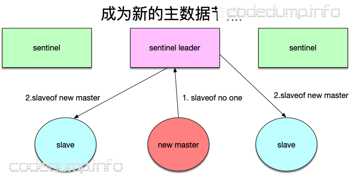 new-master