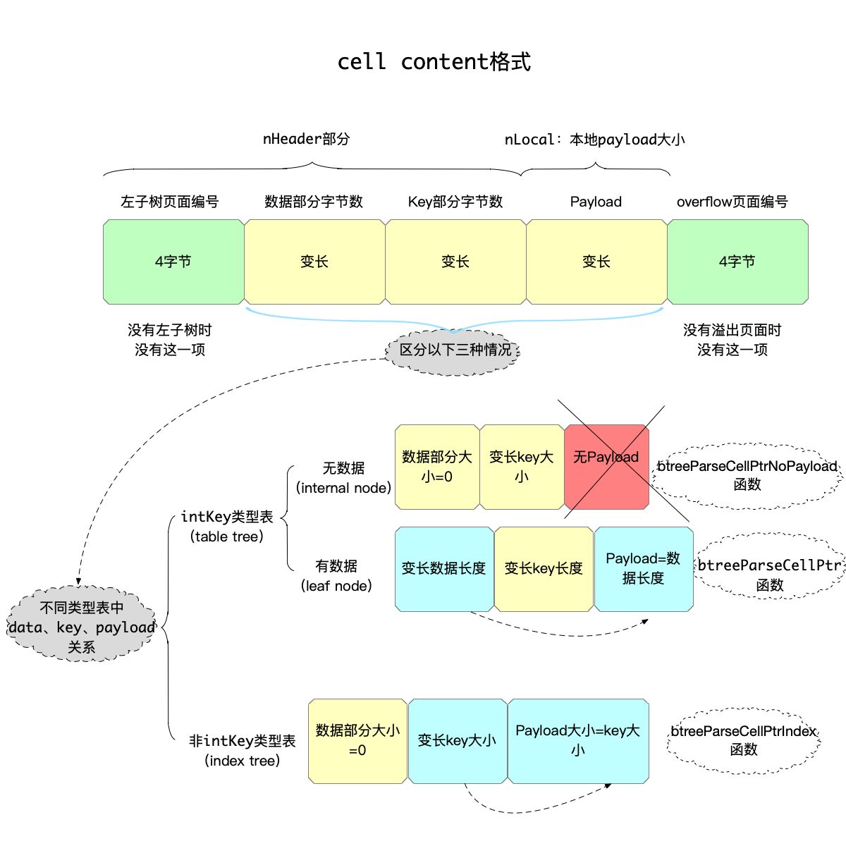 cell结构